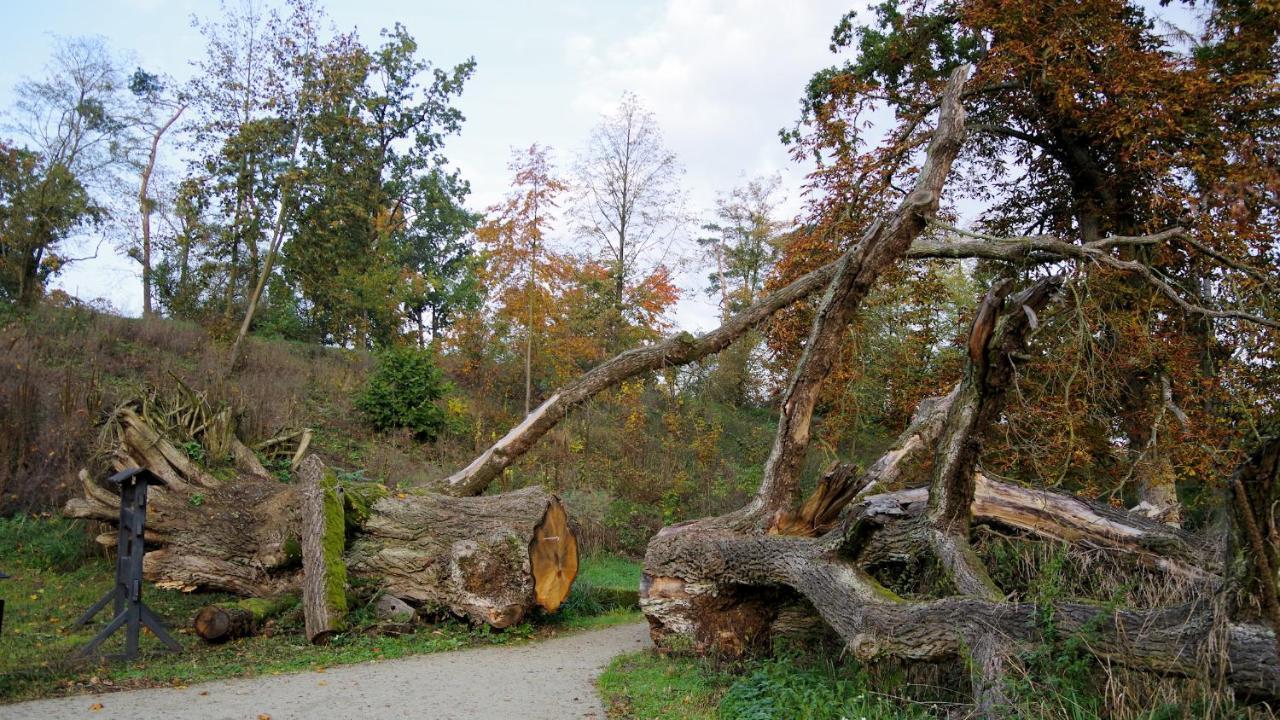 Palac Komierowo Sępólno Krajeńskie Exterior foto